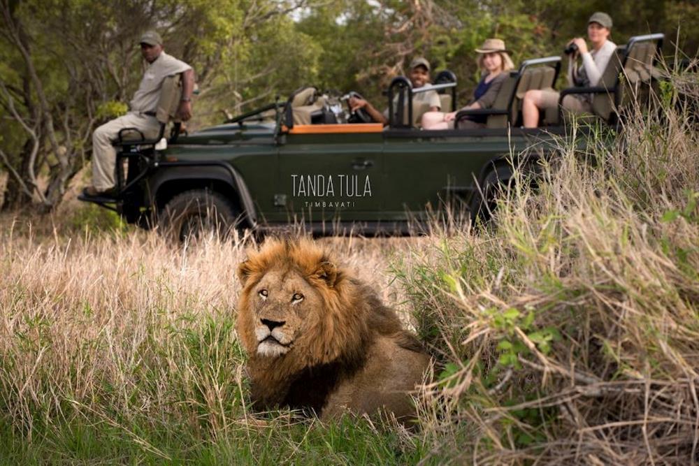 Tanda Tula Safari Camp